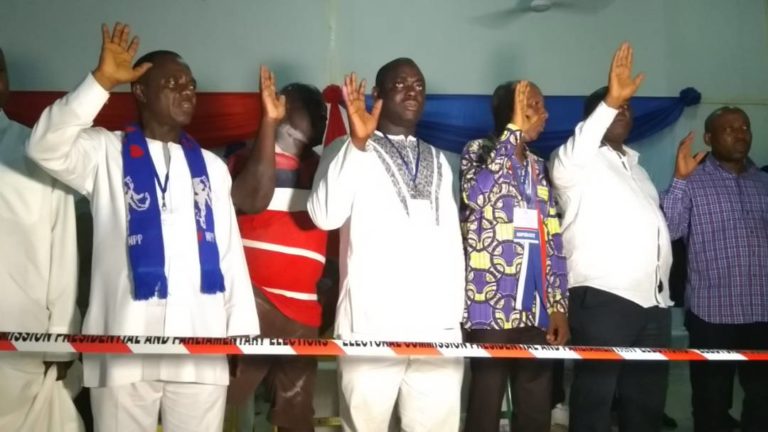 Woanyah Gets Nod as Volta NPP Chair