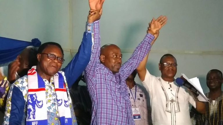 See Volta NPP Elections in Pictures