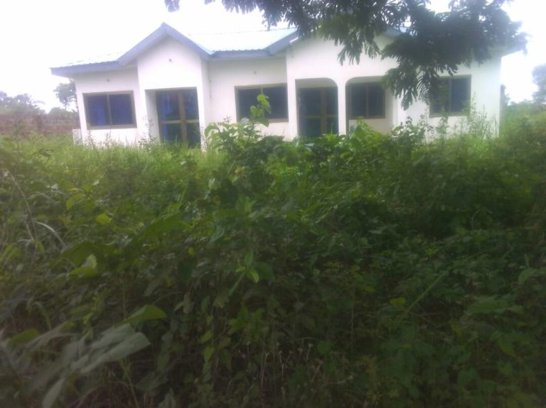 Dambai: Weed Takes over Abandoned ICT Center 4 Years After Its Completion