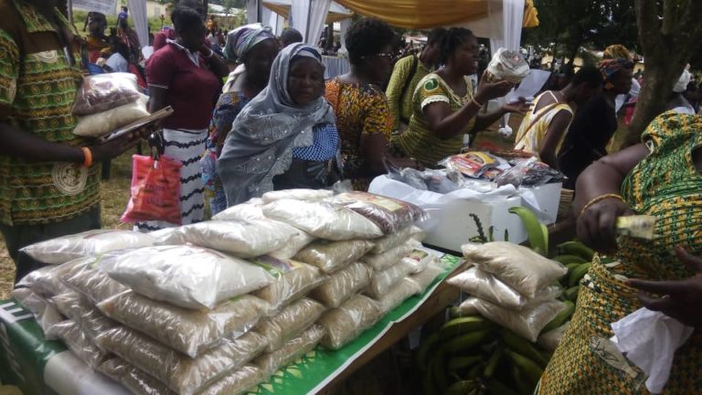 Akpafu Odomi Rice Farmers Benefit from Enhanced Rice Production