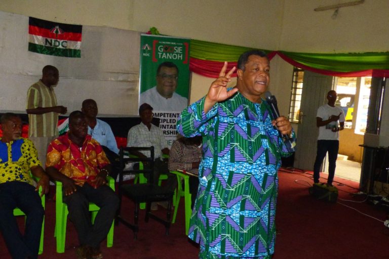 Afadzato South NDC Denies Blocking Goosie Tanoh Campaign