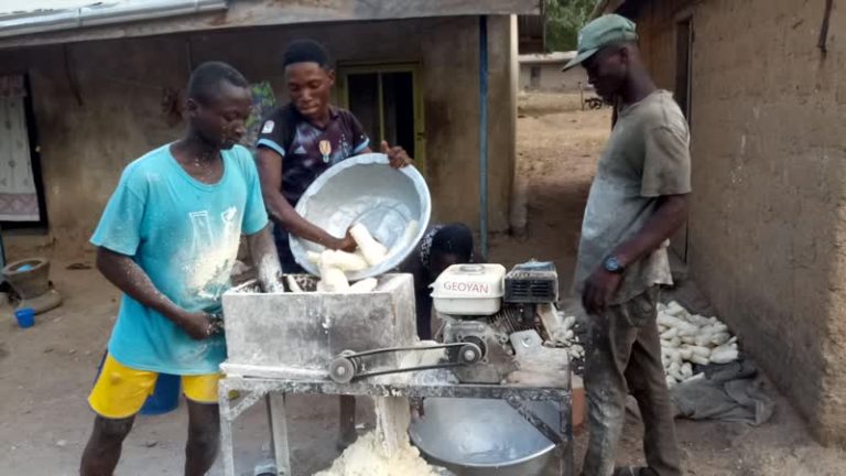 Dadiase Chief Appeals for Gari Processing Factory to Boost Production