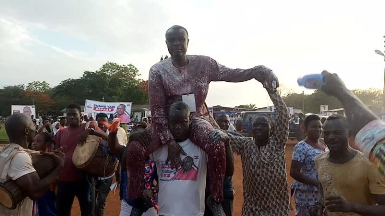 Infant Oti NPP Gets Regional Executives