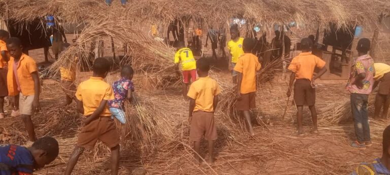 Kechiebi-Asuogya School Cries For Classrooms As Pupils use Classes Hours To Build  Structure