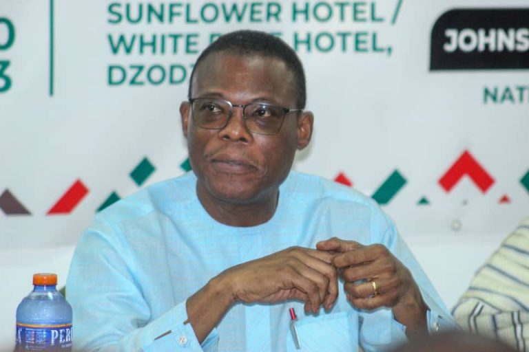 Let’s Empower the base for Victory 2024- Fifi Kwetey Charges